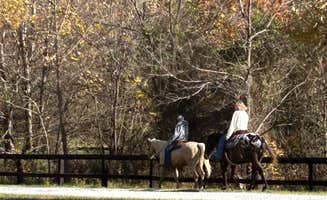 Betsy W.'s photo of camping with a horse at Blackwell Campground — Hoosier National Forest near Salem, IN