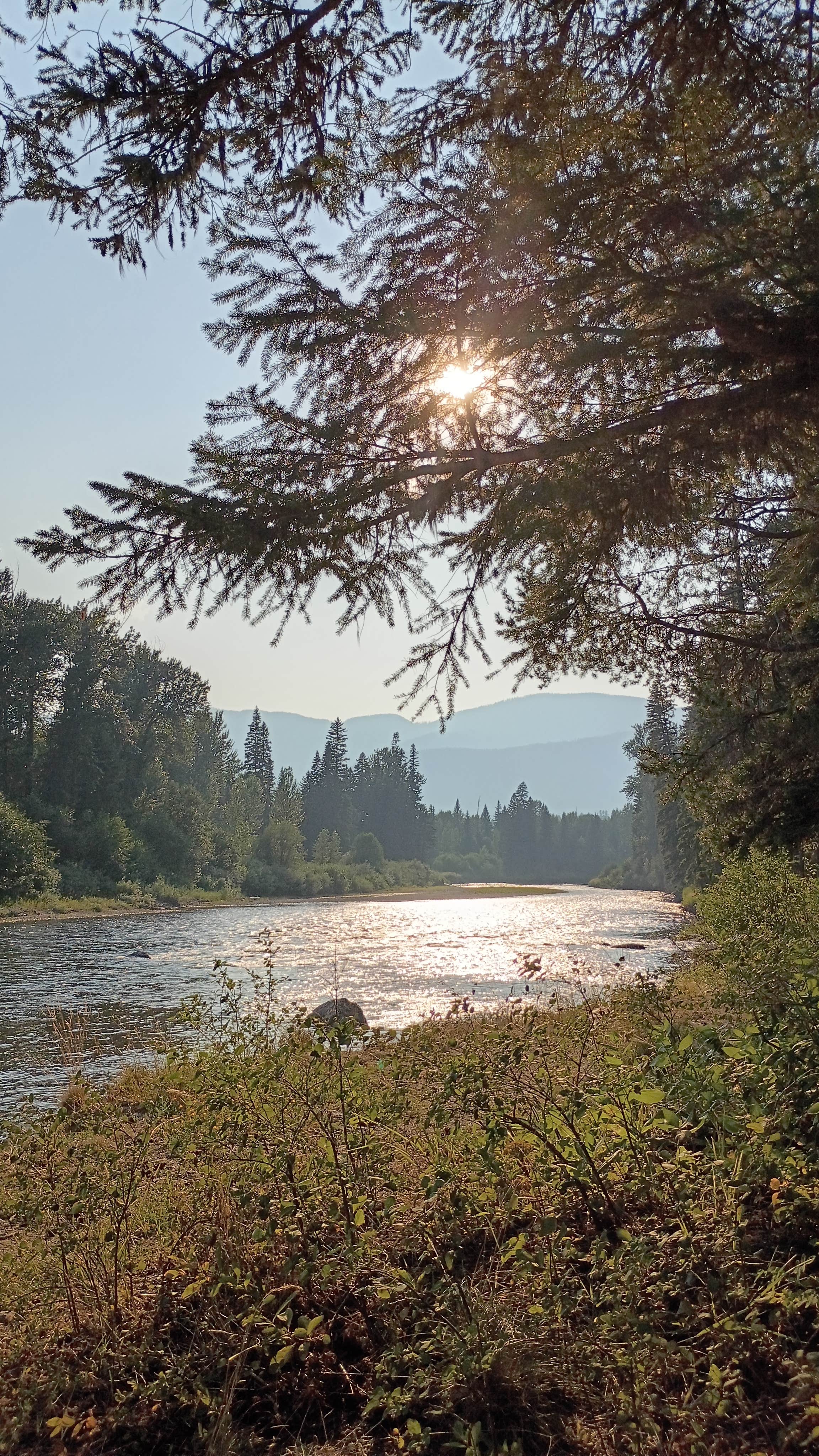 Glen B.'s photo of a dispersed camping area at Blair Flats near Polson, MT