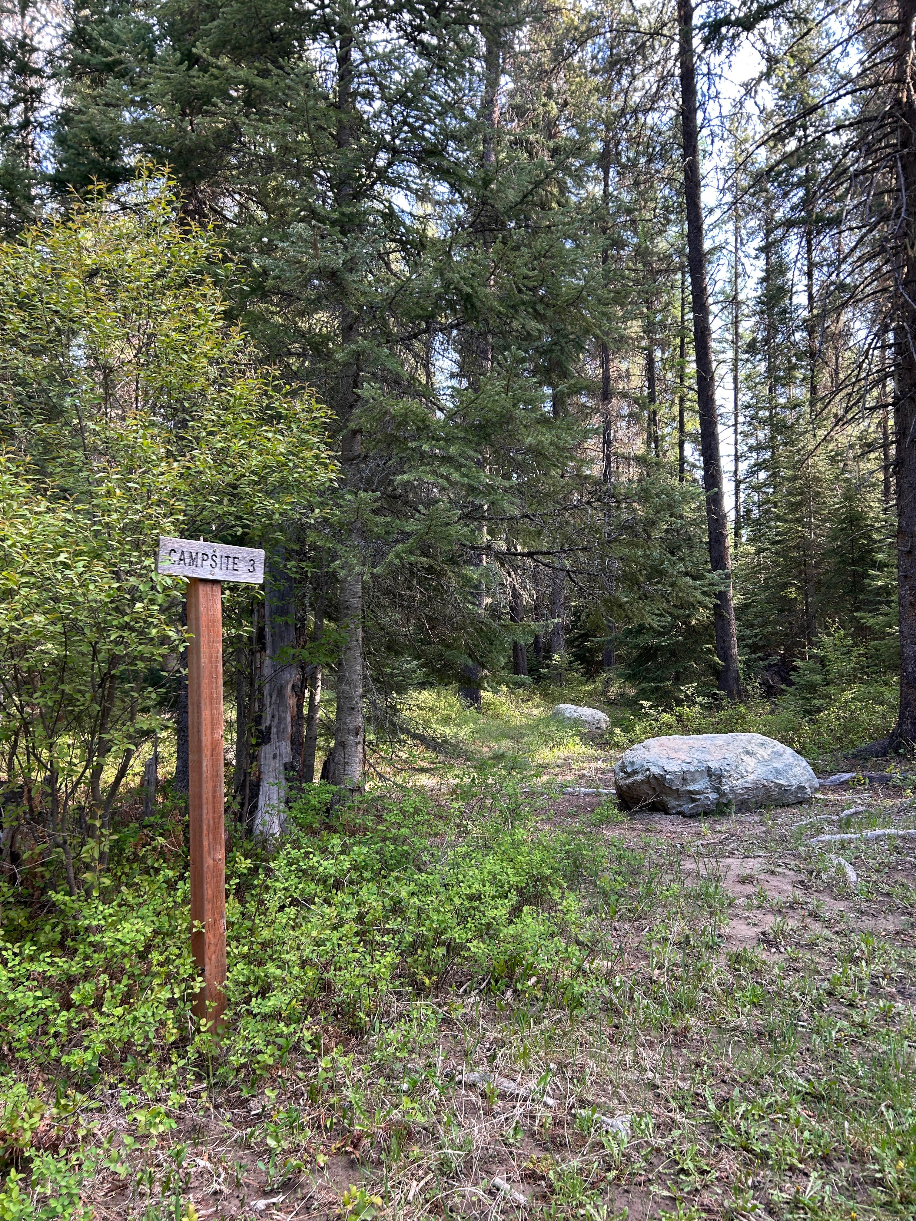 Camper-submitted photo at Blair Flats near Big Arm, MT