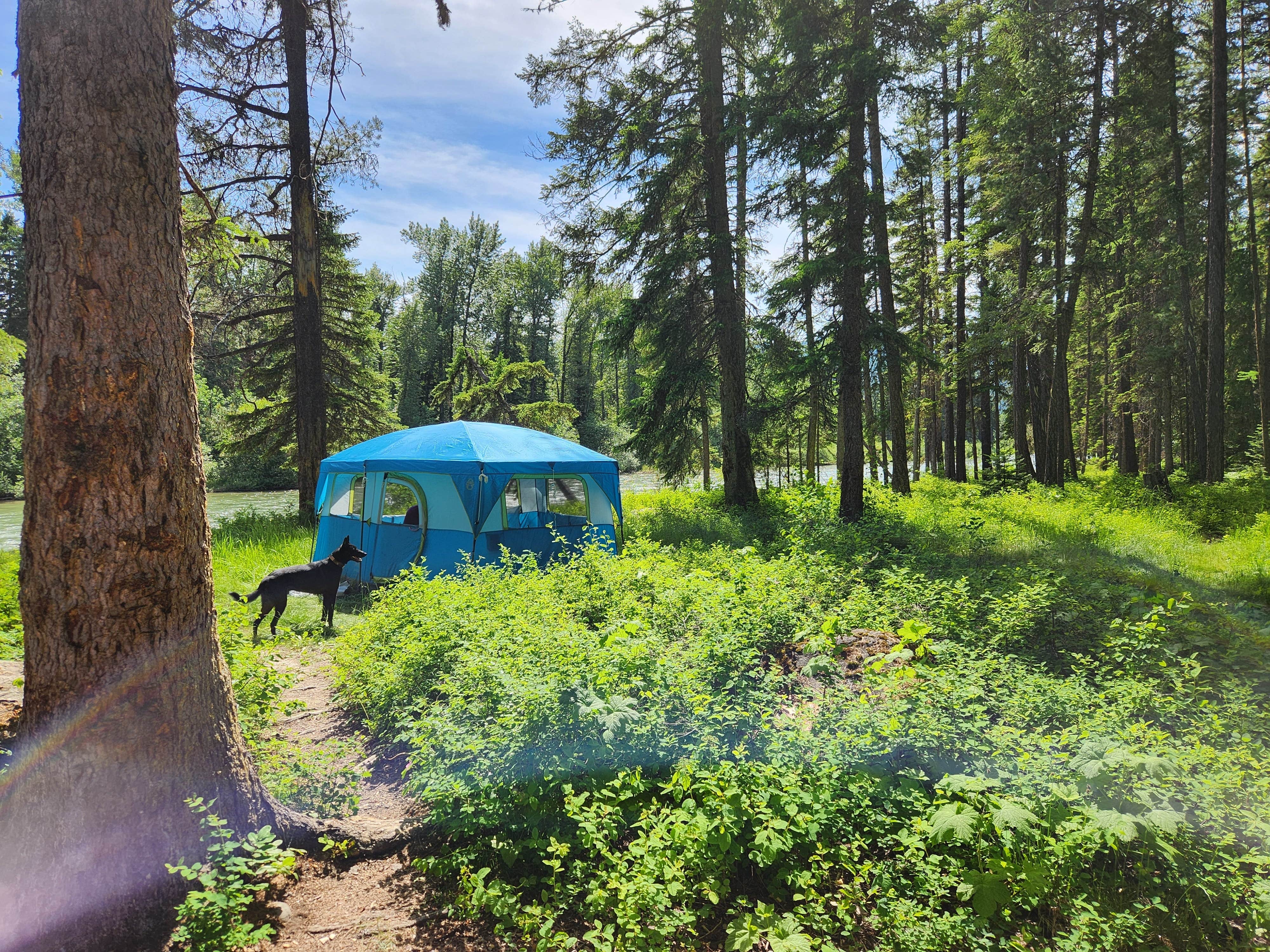 Camper-submitted photo at Blair Flats near Dayton, MT