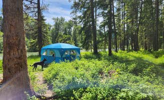 Snake P.'s photo of a dispersed camping area at Blair Flats near Polson, MT