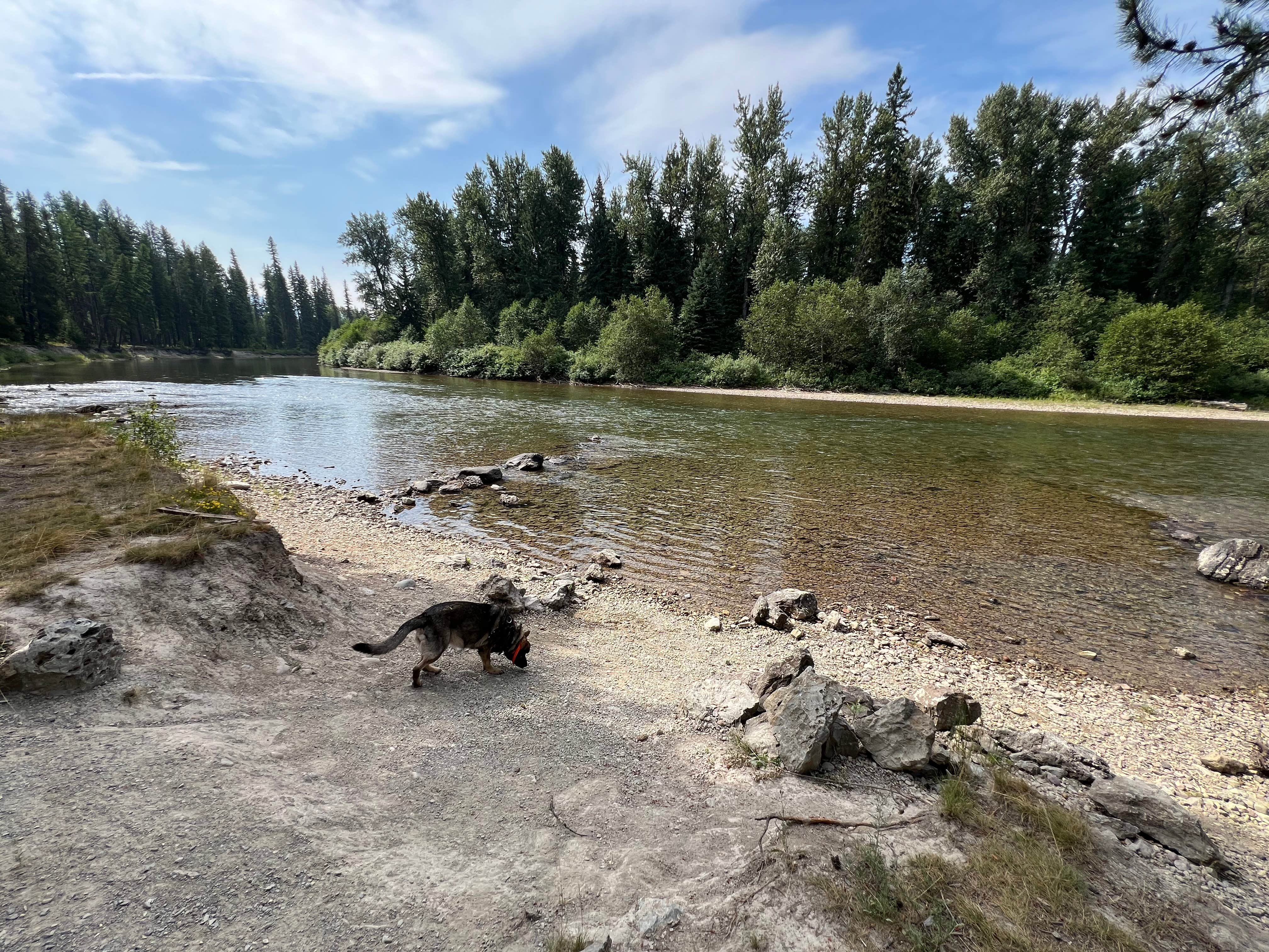 Bradley B.'s photo of a dispersed camping area at Blair Flats near Polson, MT