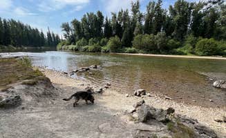 Bradley B.'s photo of camping with pets at Blair Flats near Condon, MT