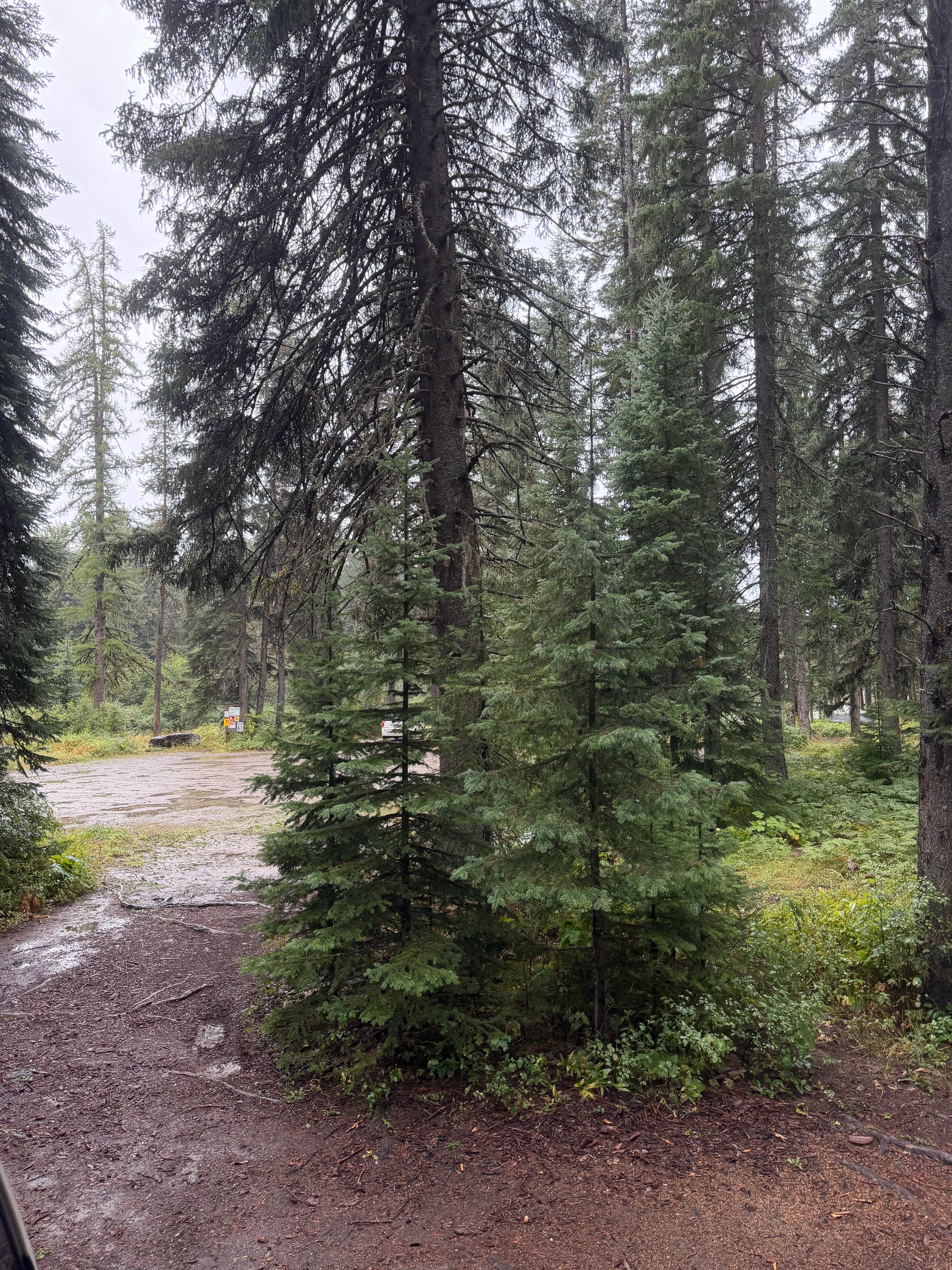 Camper-submitted photo at Blair Flats near Polson, MT