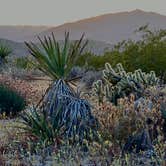 Review photo of Blair Valley Primitive Campground — Anza-Borrego Desert State Park by Dickie Simmons  S., April 29, 2024