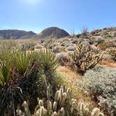 Review photo of Blair Valley Primitive Campground — Anza-Borrego Desert State Park by Fa B., March 9, 2026