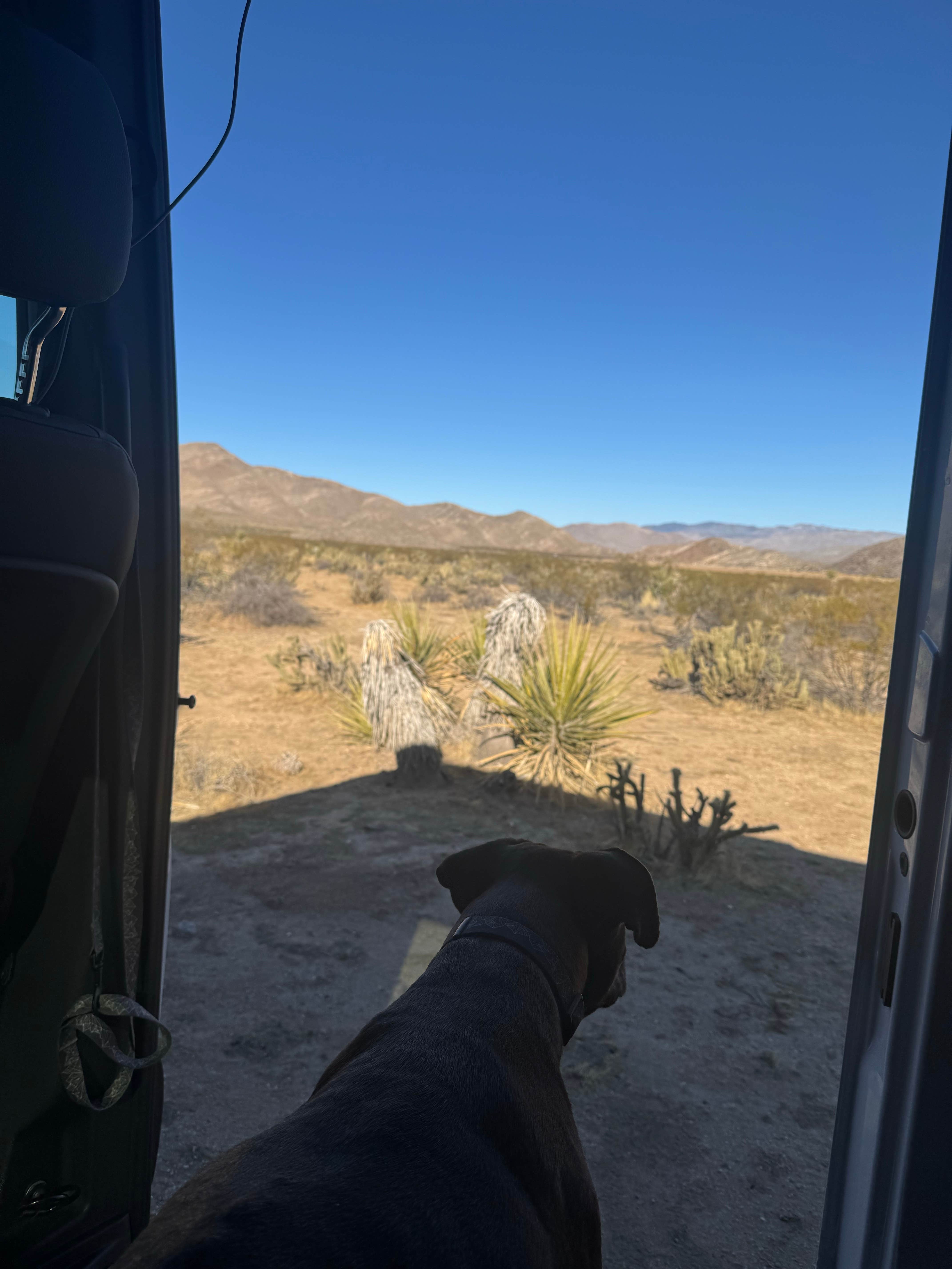 Mack Daddy Van L.'s photo of camping with pets at Blair Valley Primitive Campground — Anza-Borrego Desert State Park near Ocotillo, CA
