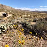 Review photo of Blair Valley Primitive Campground — Anza-Borrego Desert State Park by Fa B., March 9, 2026