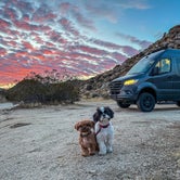 Review photo of Blair Valley Primitive Campground — Anza-Borrego Desert State Park by Mary B., December 28, 2023