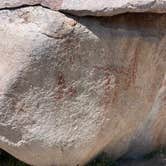 Review photo of Blair Valley Primitive Campground — Anza-Borrego Desert State Park by Dickie Simmons  S., April 29, 2024