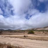 Review photo of Blair Valley Primitive Campground — Anza-Borrego Desert State Park by Heather K., May 5, 2024