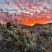 Review photo of Blair Valley Primitive Campground — Anza-Borrego Desert State Park by Mary B., December 28, 2023