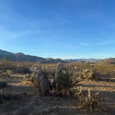 Review photo of Blair Valley Primitive Campground — Anza-Borrego Desert State Park by Ryan L., January 12, 2025