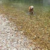 Review photo of Blanchard Springs Recreation Area — Ozark St. Francis National Forests by Peter B., October 4, 2026