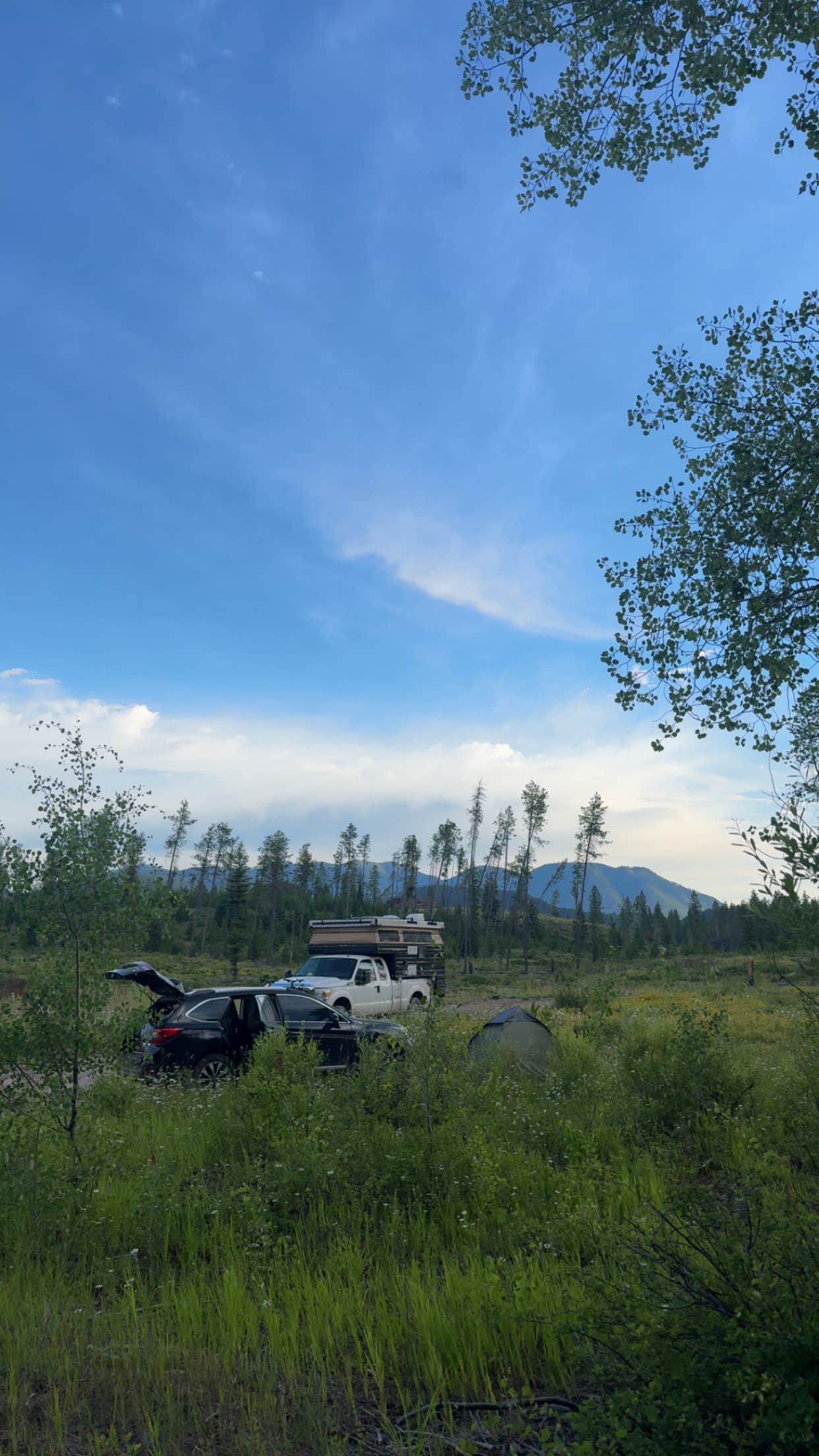 Camper-submitted photo at Blankenship #1 near Hungry Horse, MT