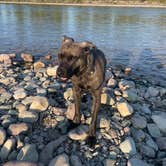 Review photo of Blankenship Bridge - Dispersed Camping by Faye N., August 27, 2025