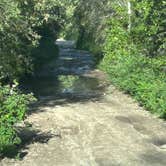 Review photo of Blankenship Bridge - Dispersed Camping by David R., June 14, 2025