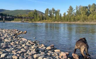 Faye N.'s photo of camping with pets at Blankenship Bridge - Dispersed Camping near West Glacier, MT