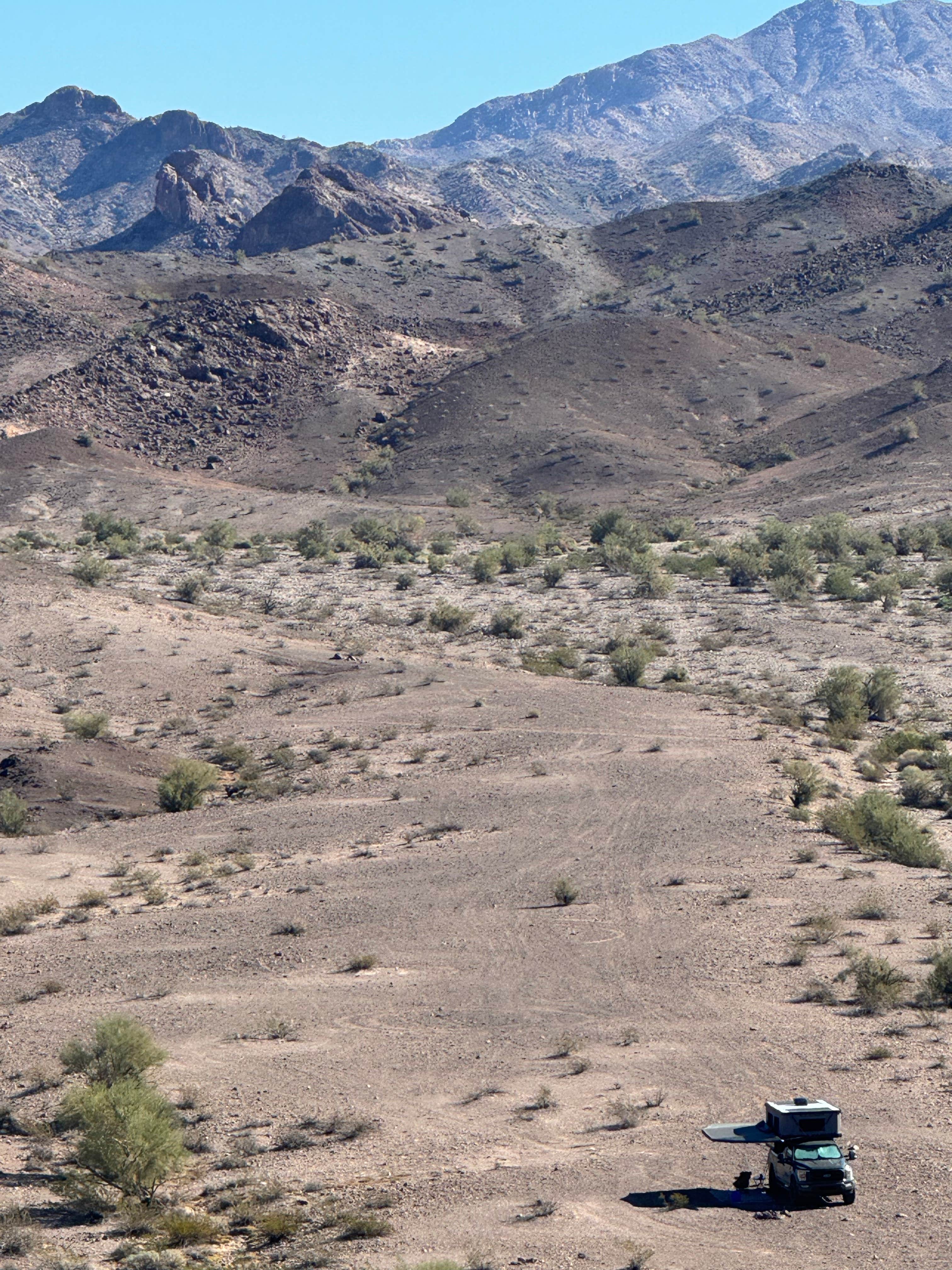 Camper-submitted photo at Blankenship Wash Dispersed near Lake Havasu City, AZ