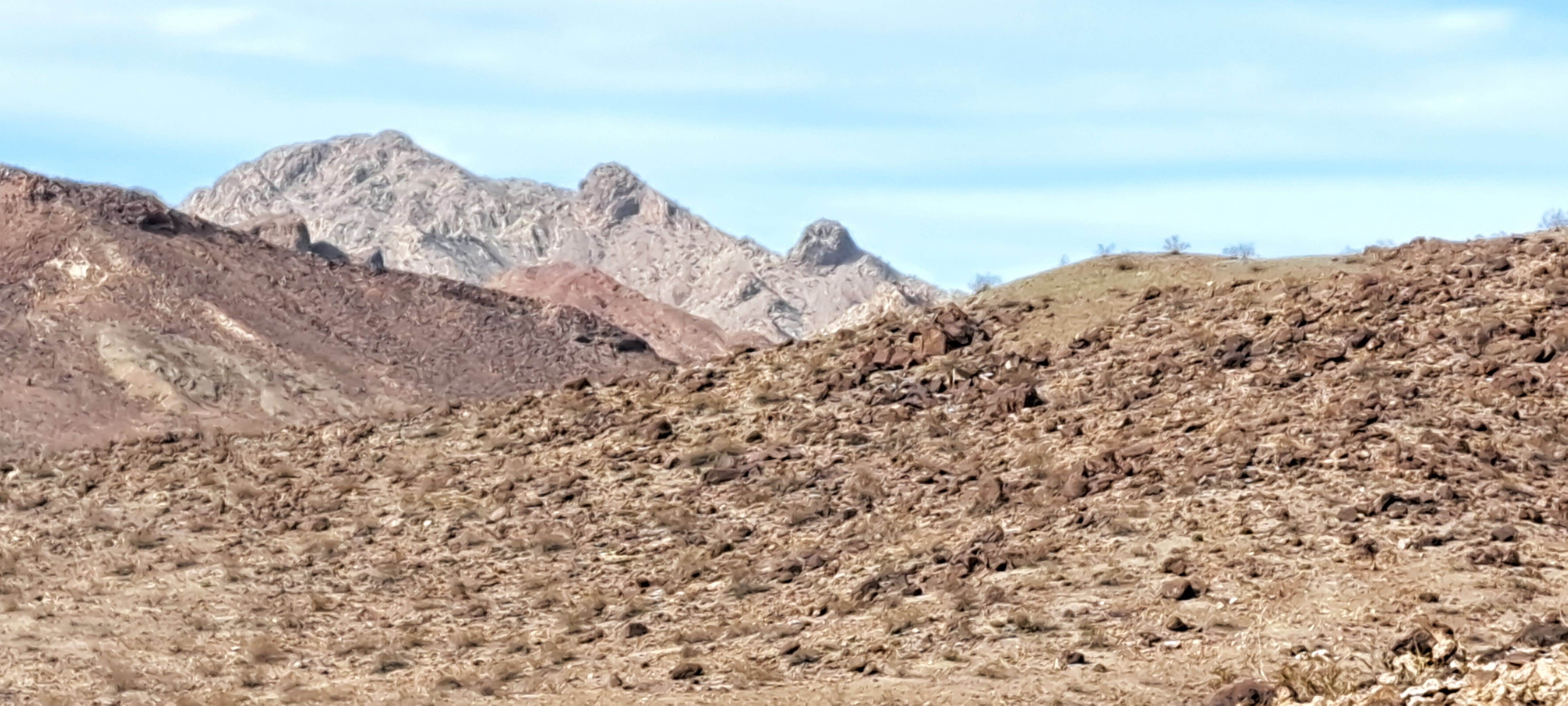 Camping near Snaggletooth Primitive RV Camp: Blankenship Wash Dispersed, Lake Havasu City, Arizona