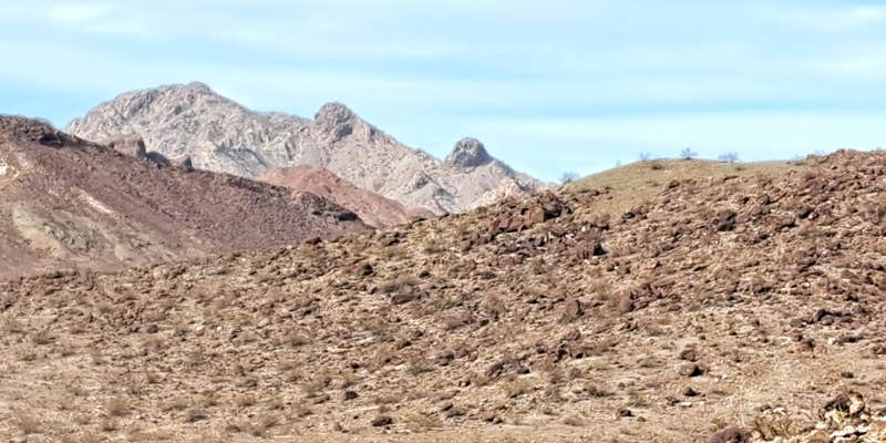 Camper submitted image from Blankenship Wash Dispersed