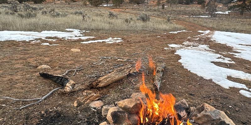 Camper submitted image from Cabin Hollow on Forest Road 121