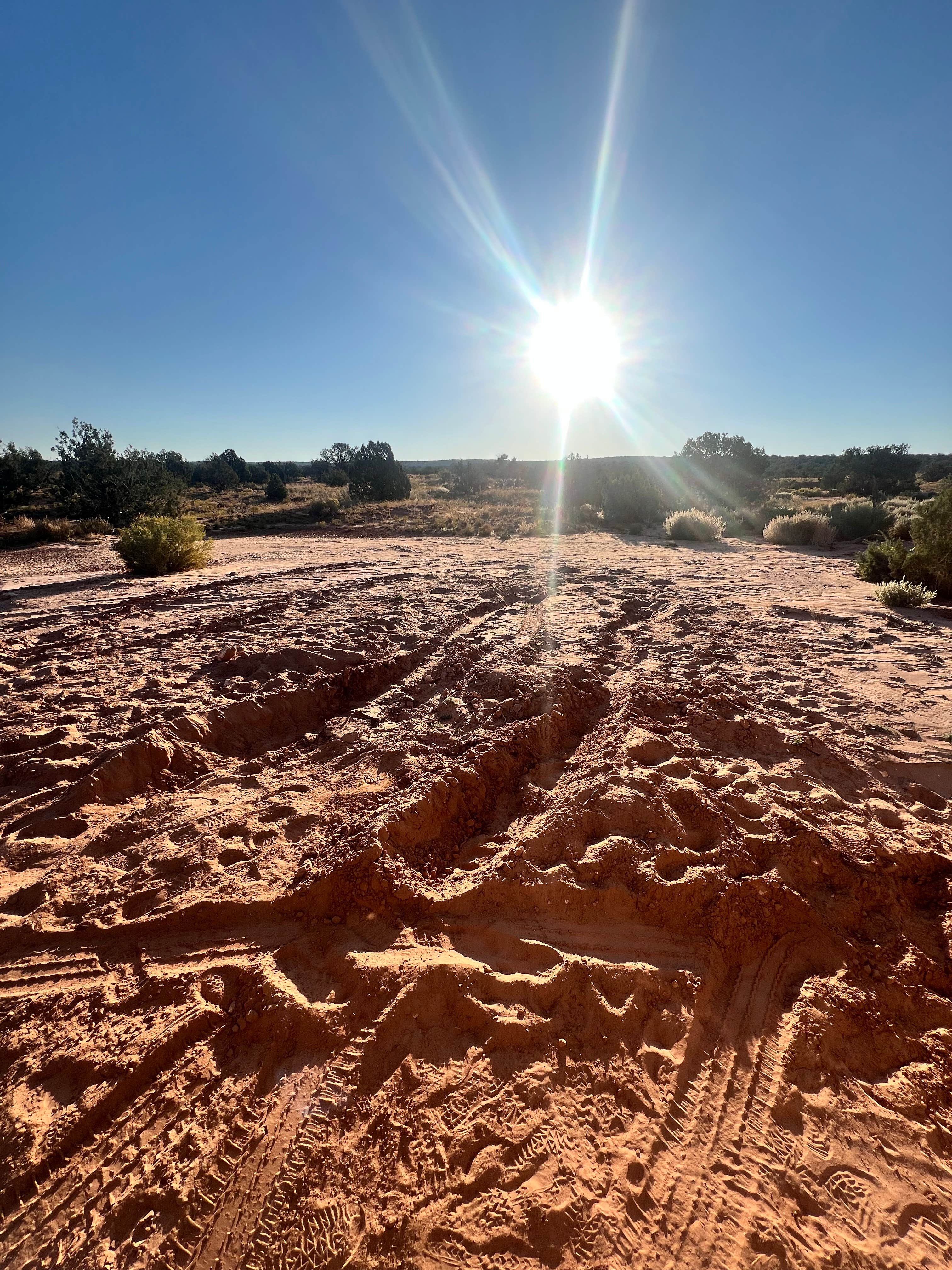 Camping near Moonshine Wash TH: Mineral Bottom Trail Campground, Moab, Colorado