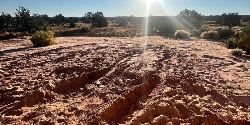 Camper submitted image from Mineral Bottom Trail Campground