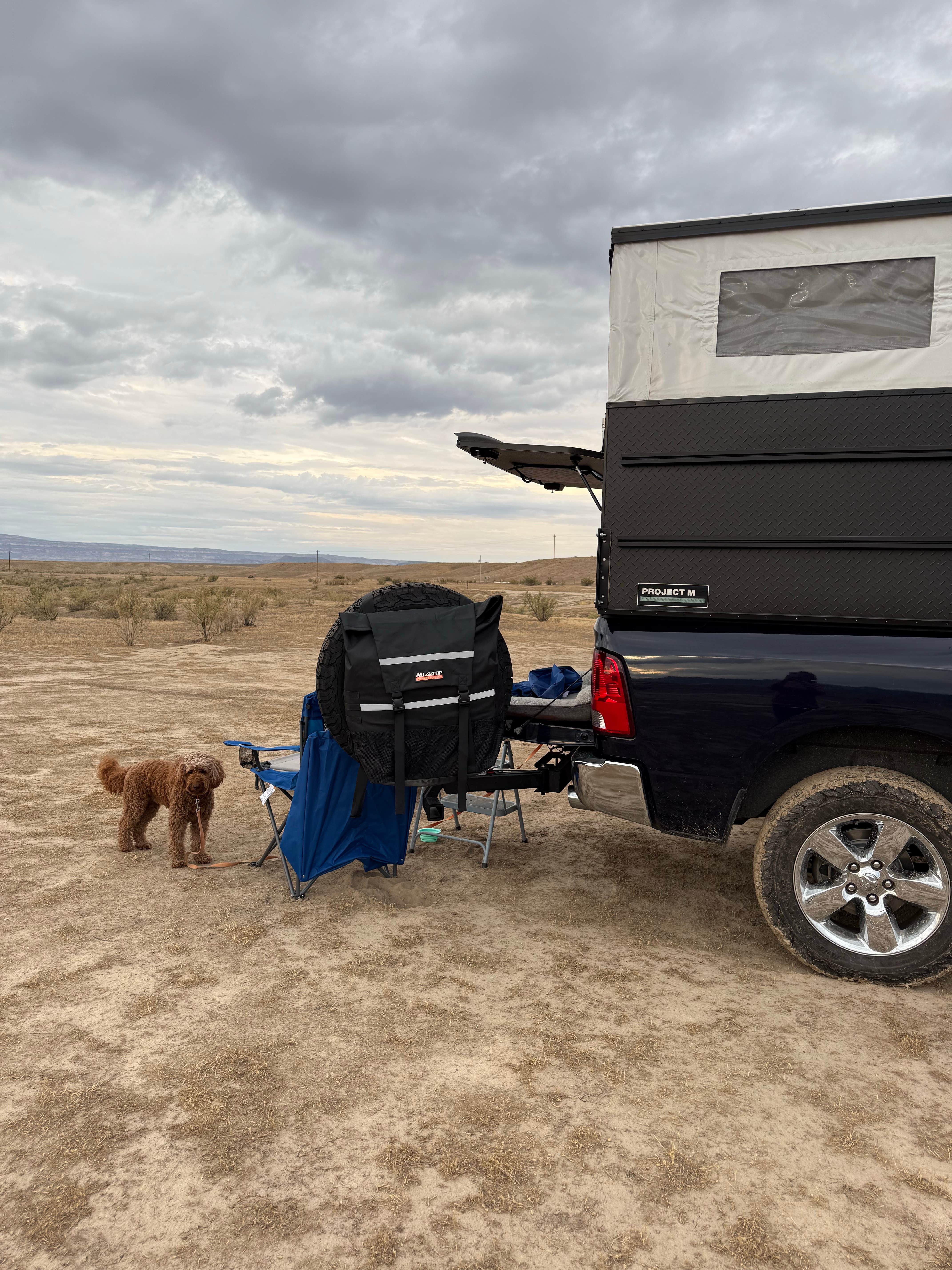 alicianlv's photo of camping with pets at BLM #174 Road Dispersed Camping near Grand Junction, CO