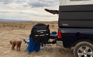 alicianlv's photo of camping with pets at BLM #174 Road Dispersed Camping near Fruita, CO