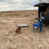 Review photo of BLM #174 Road Dispersed Camping by alicianlv , August 26, 2025