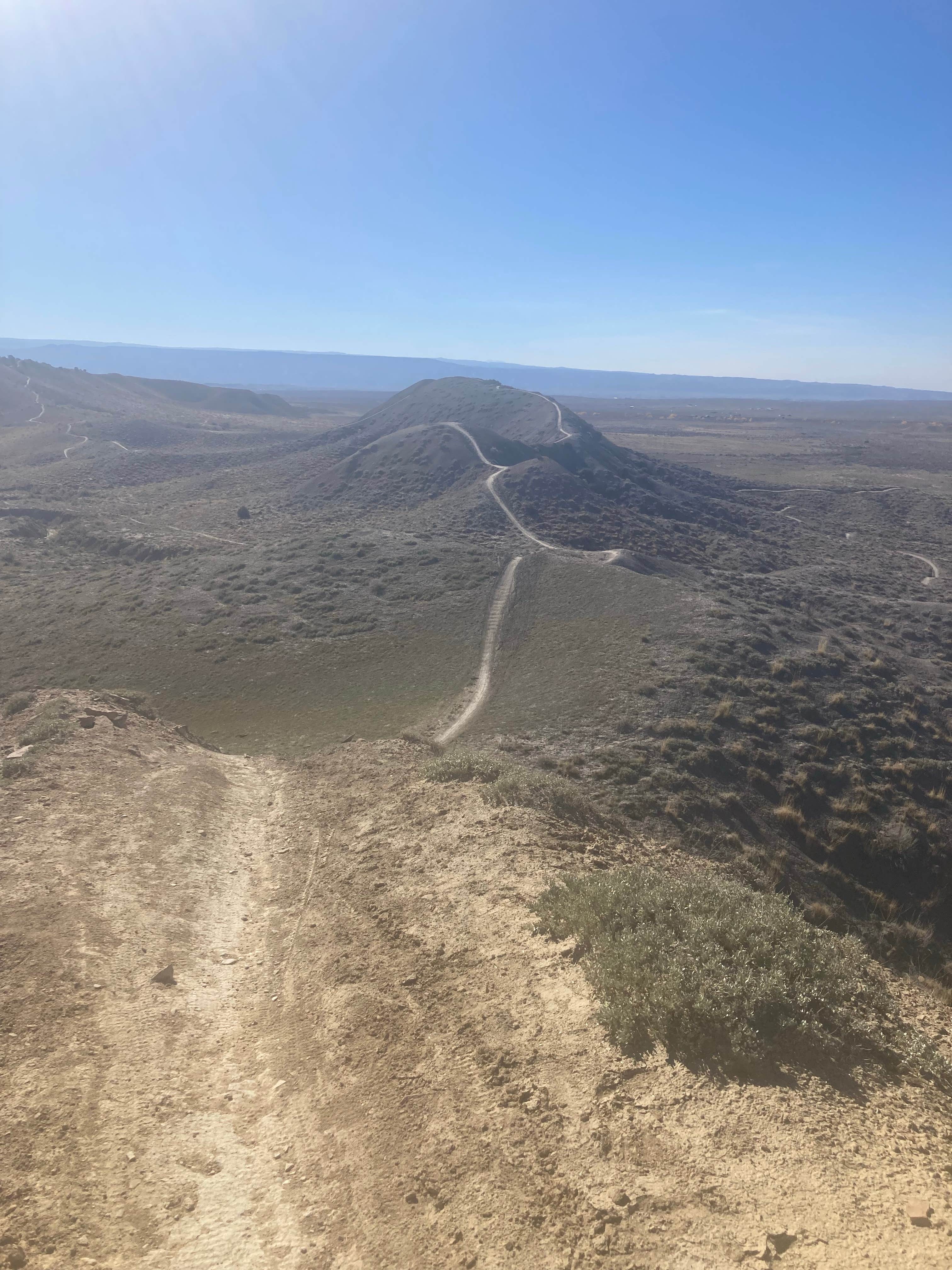 MATTHEW R.'s photo of a dispersed camping area at BLM #174 Road Dispersed Camping near Fruita, CO