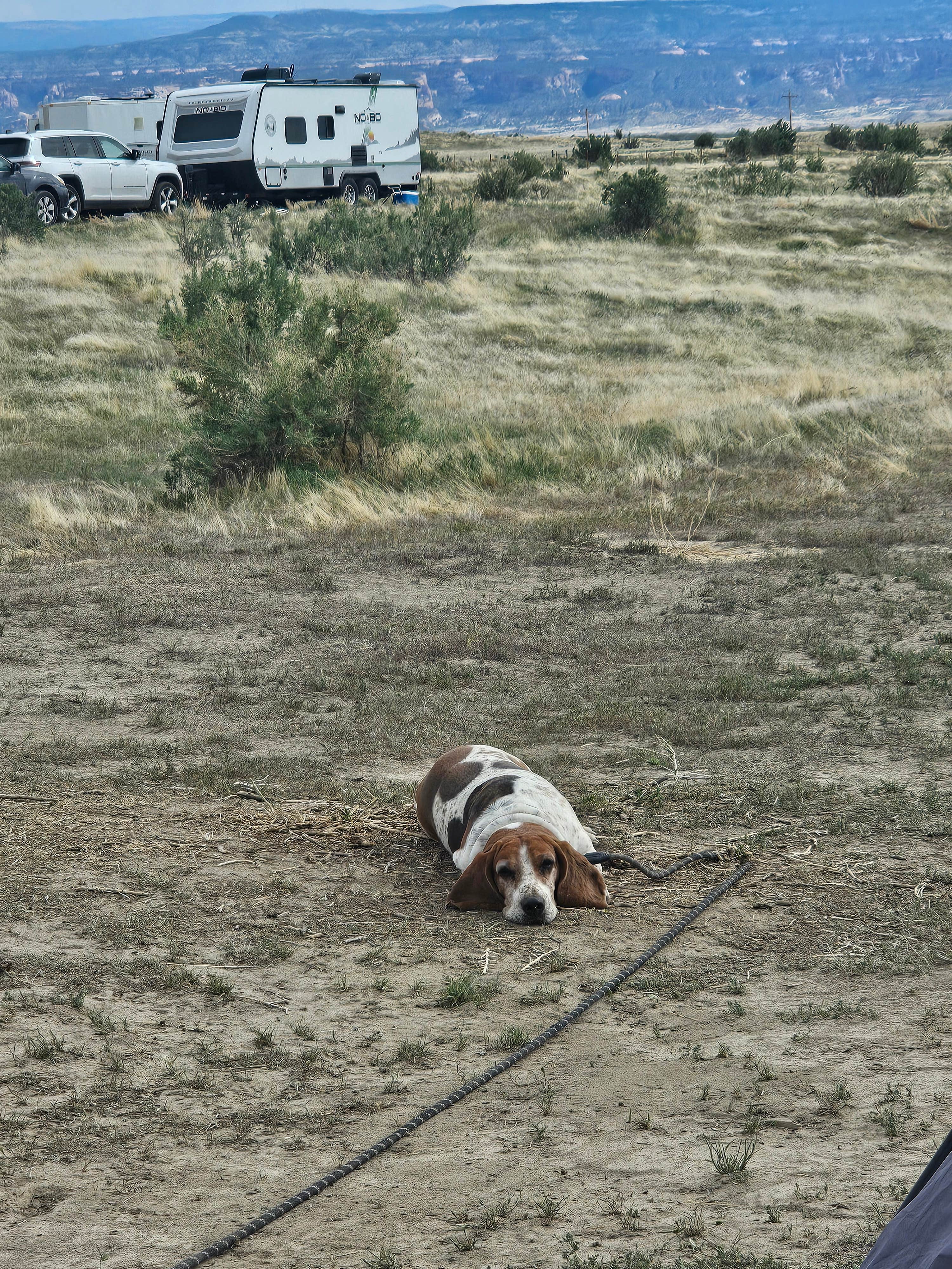 Dominica T.'s photo of rv camping at BLM #174 Road Dispersed Camping near Loma, CO