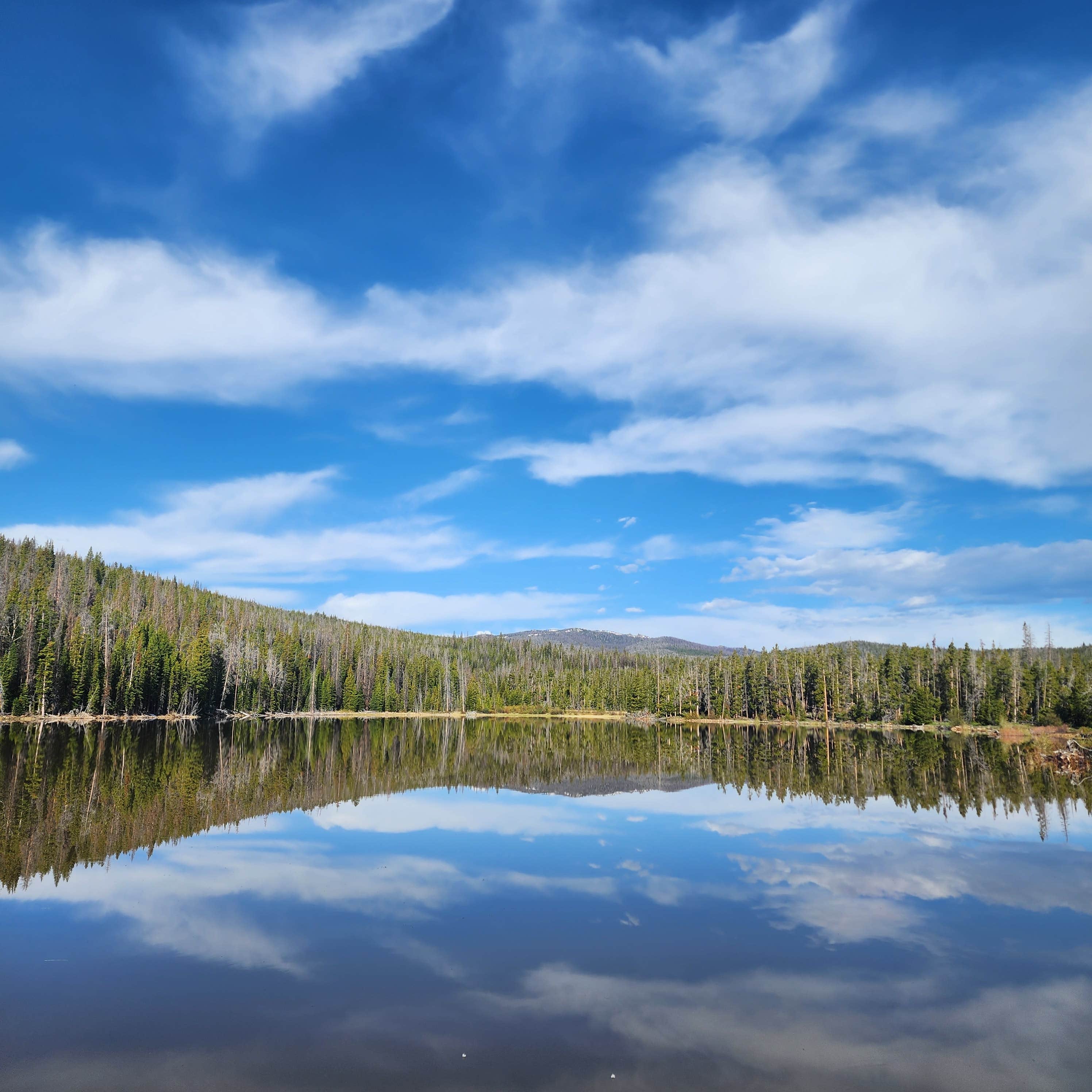 Jozey B.'s photo of a dispersed camping area at BLM above Dubois near Shoshone National Forest