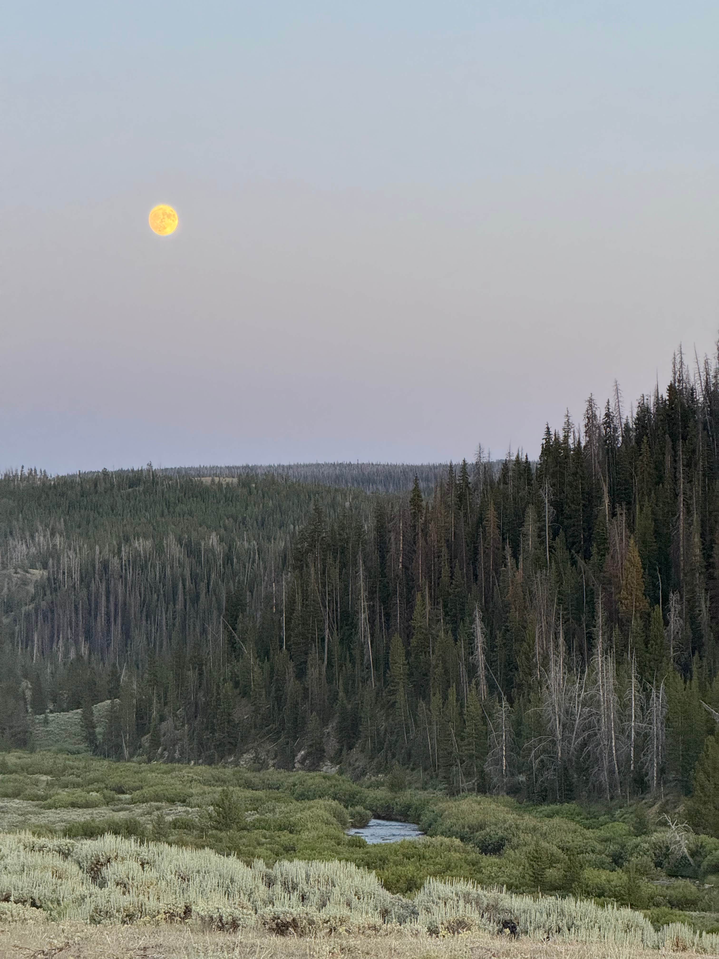 Camping near Solitude RV Park: BLM above Dubois, Dubois, Wyoming