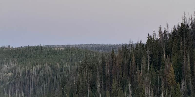 Camper submitted image from BLM above Dubois