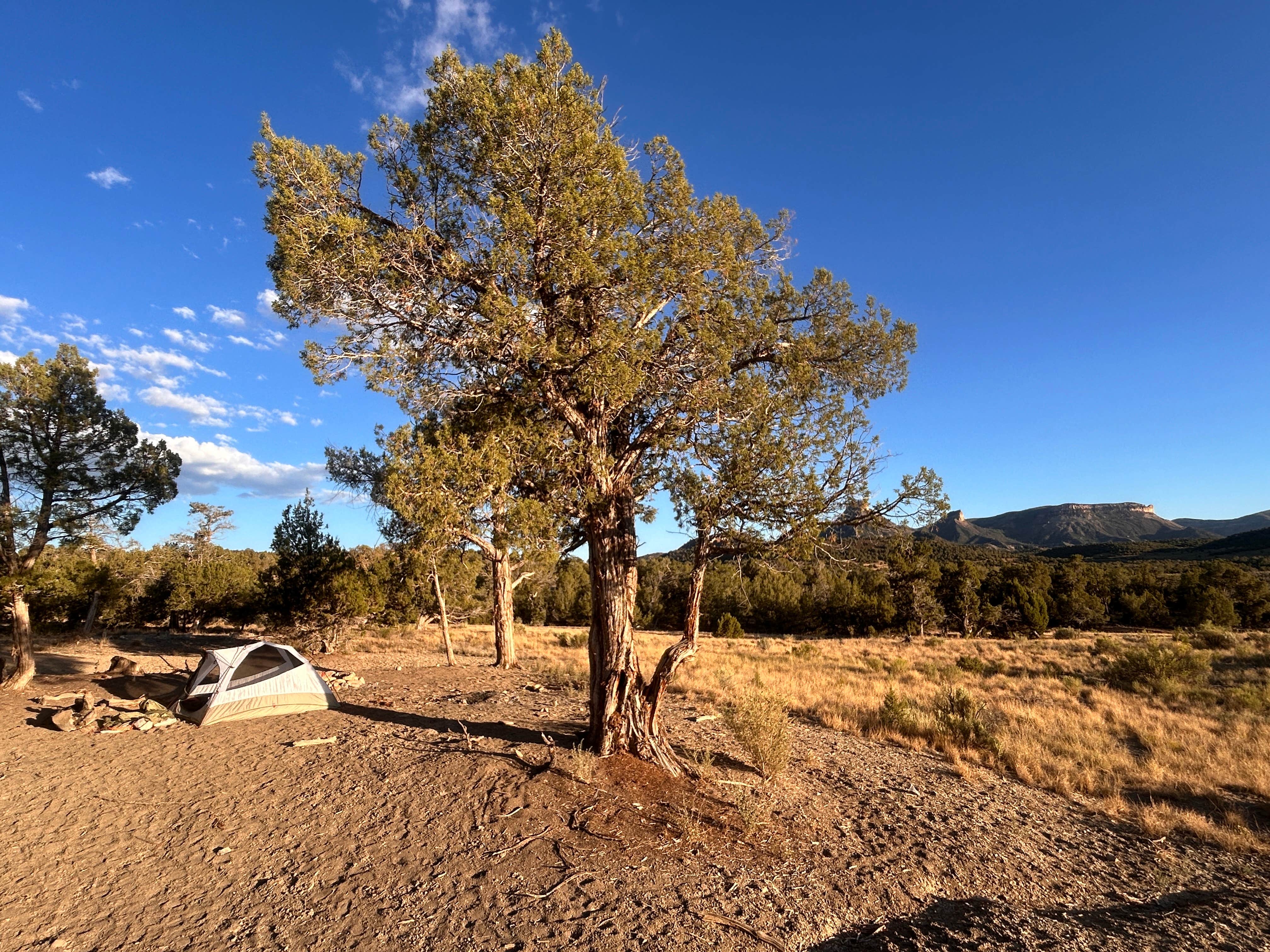 Alexandria C.'s photo of a dispersed camping area at BLM across from Mesa Verde near Flora Vista, NM