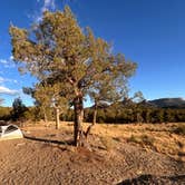 Review photo of BLM across from Mesa Verde by Alexandria C., August 26, 2026