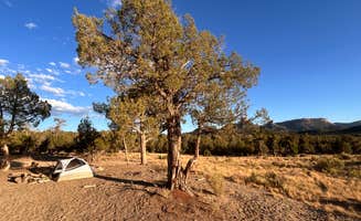 Alexandria C.'s photo of a dispersed camping area at BLM across from Mesa Verde near Shiprock, NM