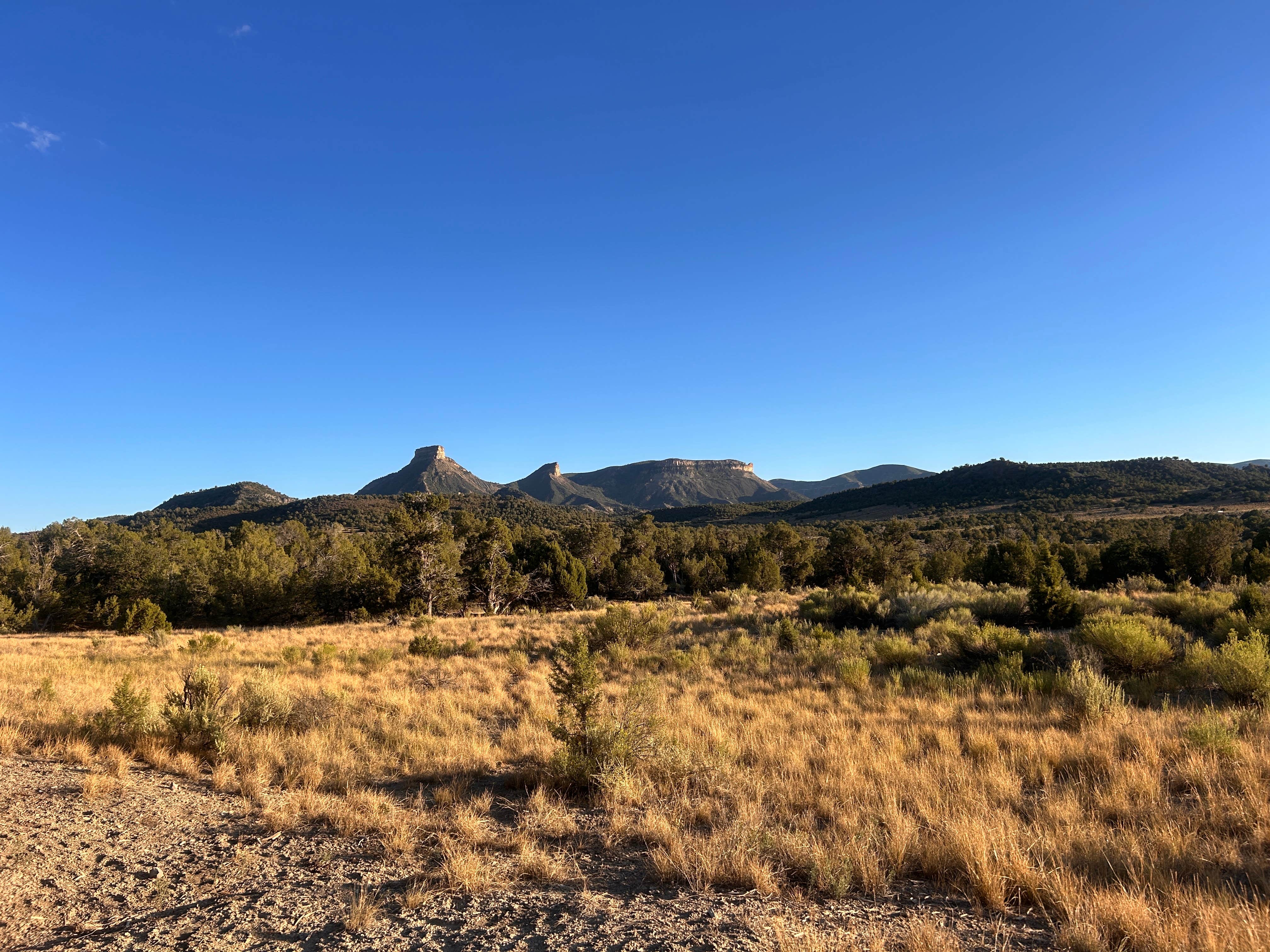 Camper-submitted photo at BLM across from Mesa Verde near Flora Vista, NM