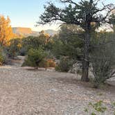 Review photo of BLM across from Mesa Verde by Steve F., August 5, 2026