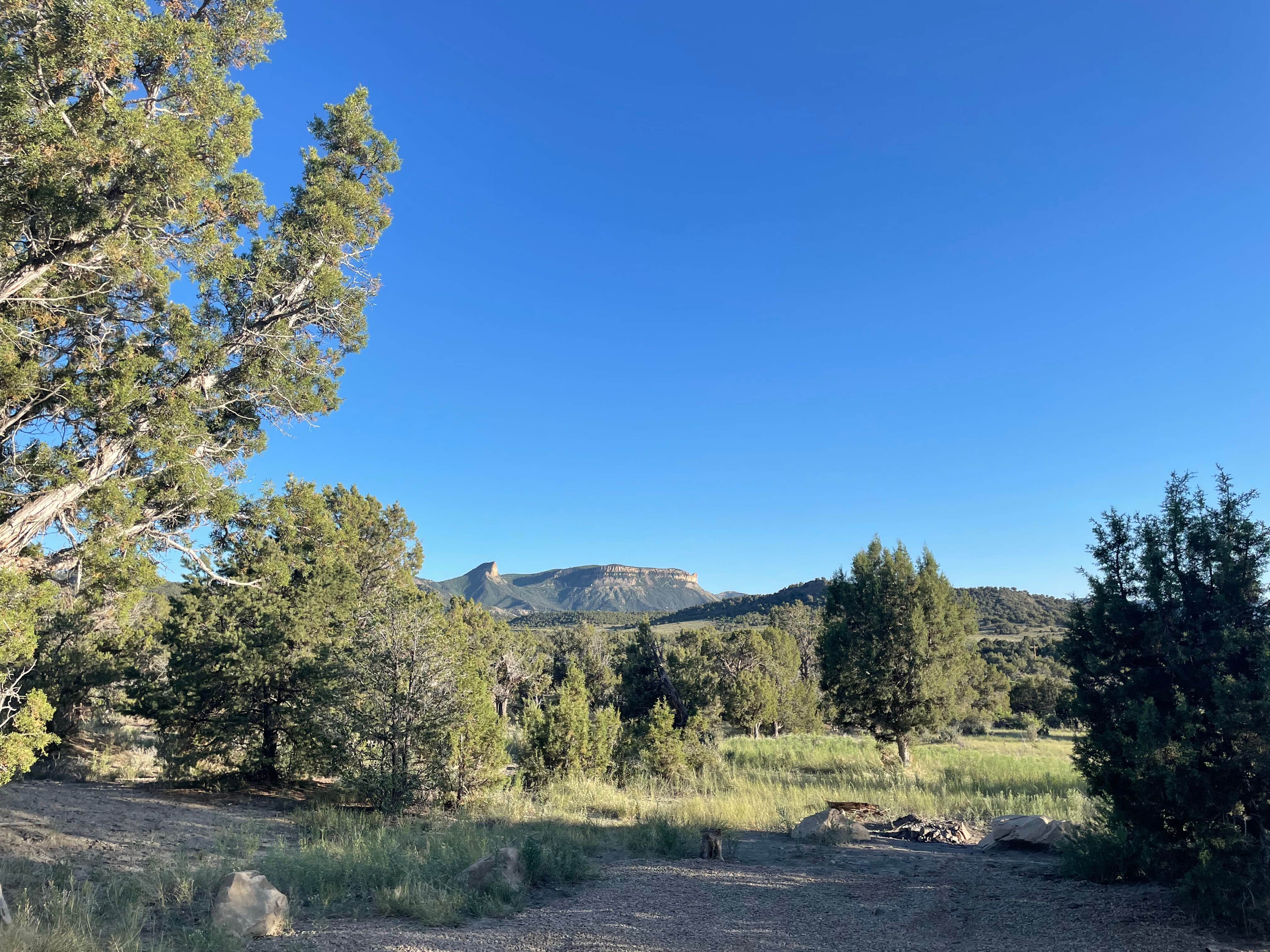 Camper-submitted photo at BLM across from Mesa Verde near Shiprock, NM