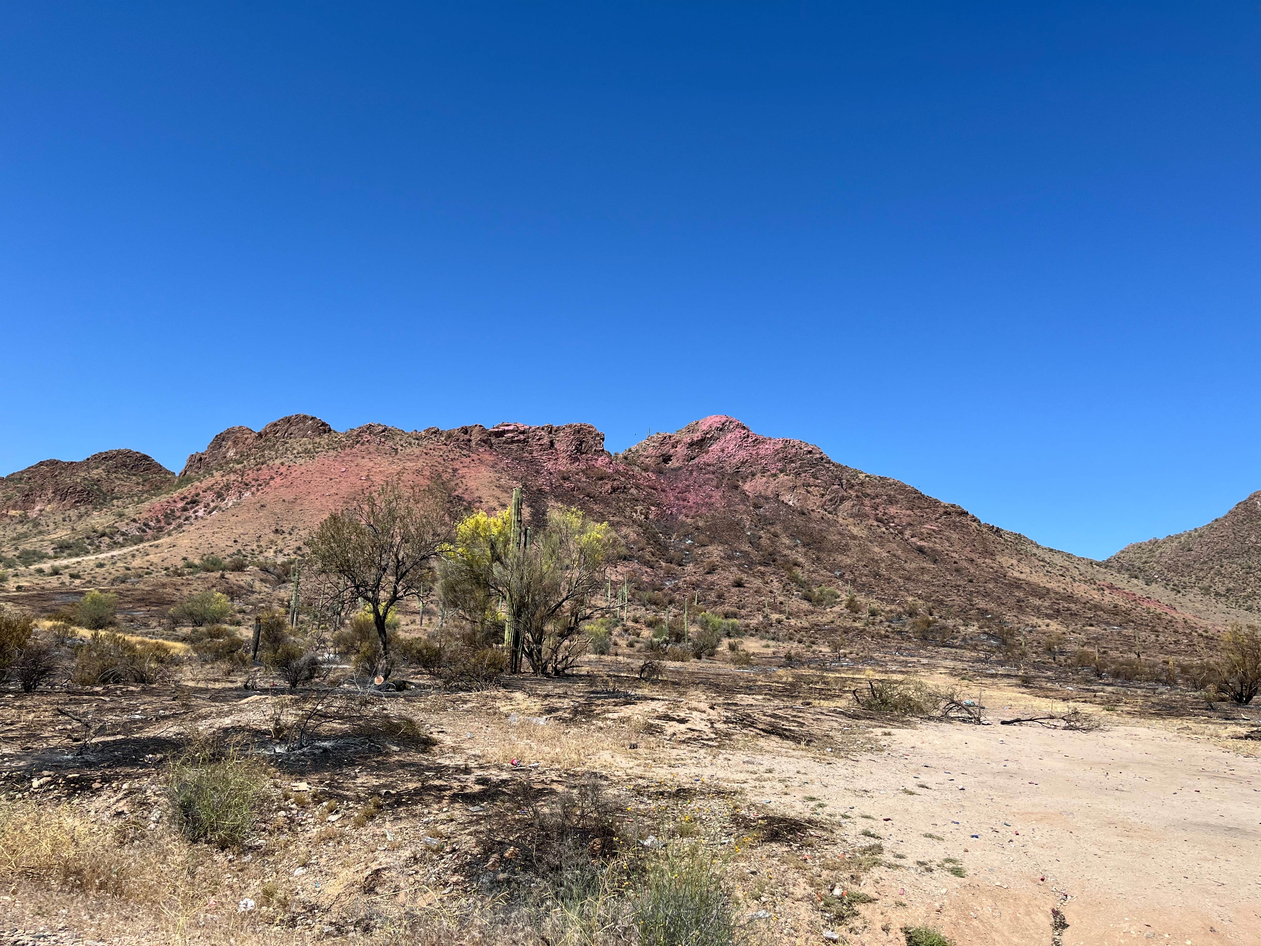 Camper-submitted photo at White Canyon Wilderness Dispersed near Superior, AZ