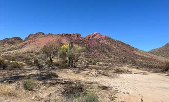 Camping near Upper Pinal Campground: White Canyon Wilderness Dispersed, Queen Valley, Arizona