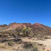 Review photo of White Canyon Wilderness Dispersed by Sarah E., May 22, 2024