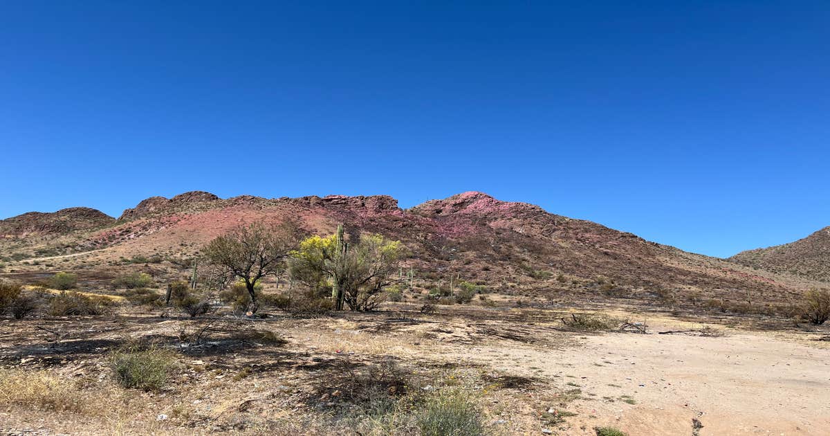 White Canyon Wilderness Dispersed