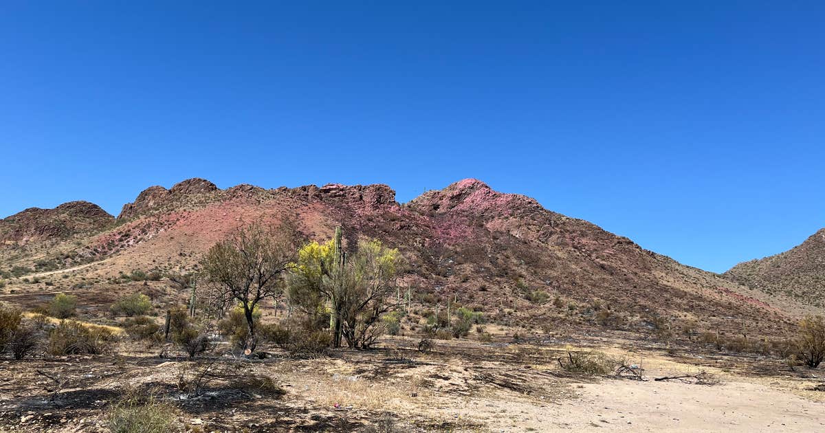 White Canyon Wilderness Dispersed