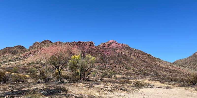 Camper submitted image from White Canyon Wilderness Dispersed