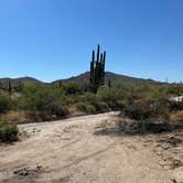 Review photo of White Canyon Wilderness Dispersed by Sarah E., May 22, 2024