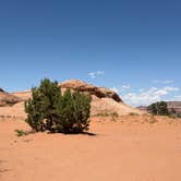 Review photo of BLM Bartlett Flat Camping Area by Timothy M., July 2, 2026